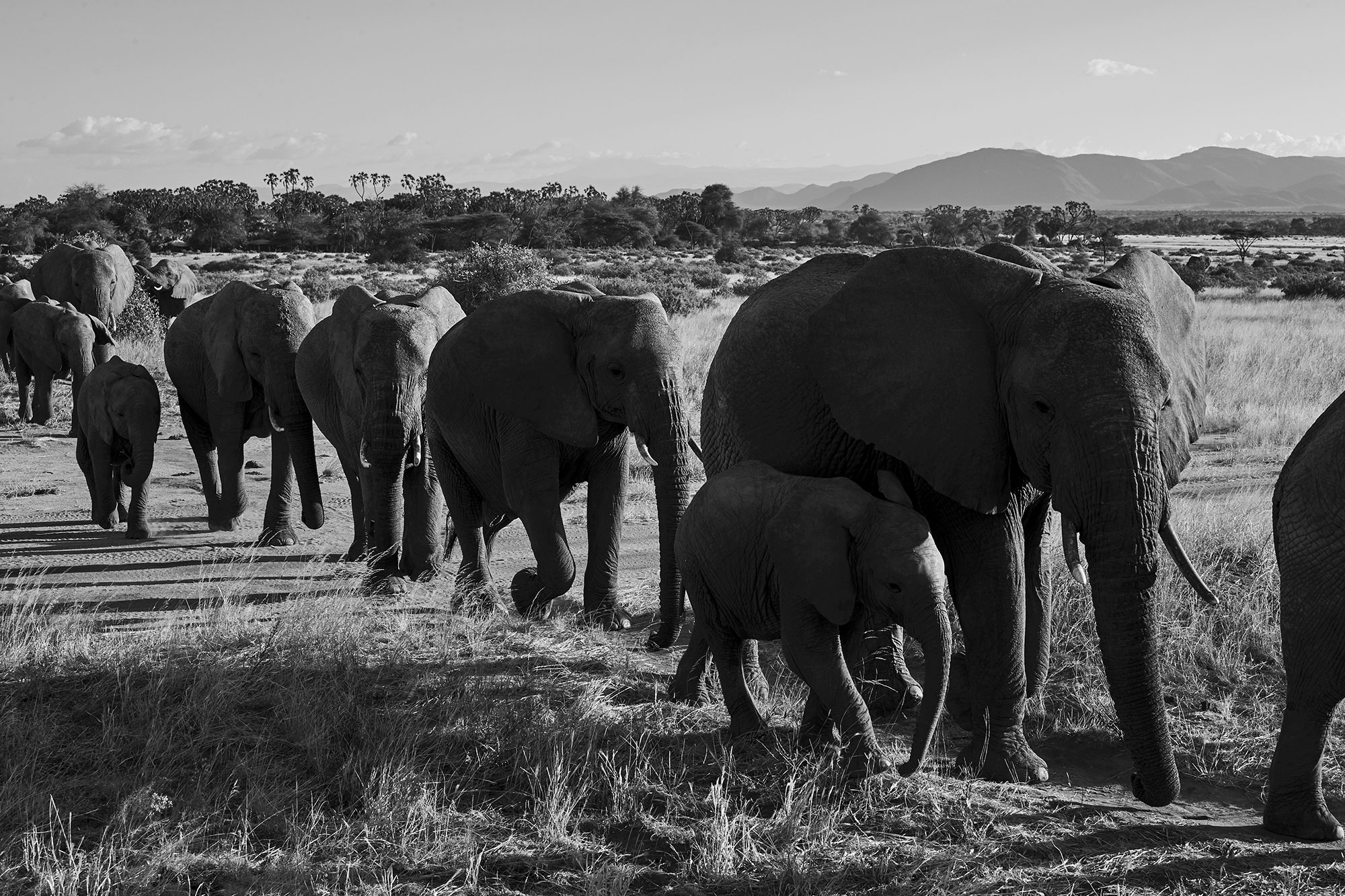 Doutzen Kroes in Kenya
