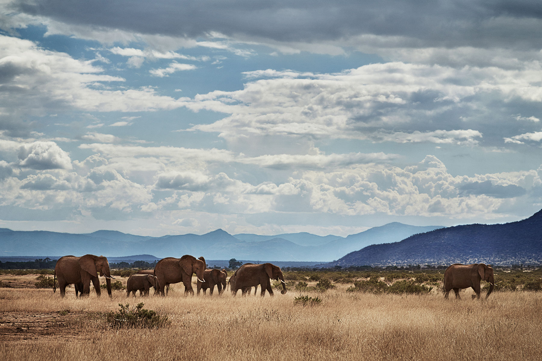 Doutzen Kroes with Elephant