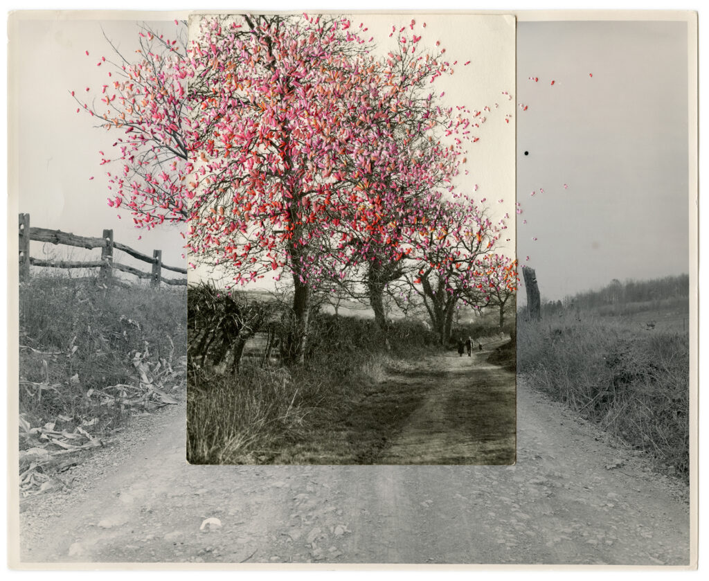 Julie Cockburn Art - Breeze