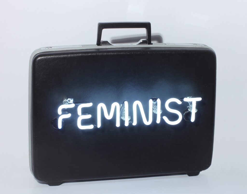 Michele Pred Feminist Briefcase